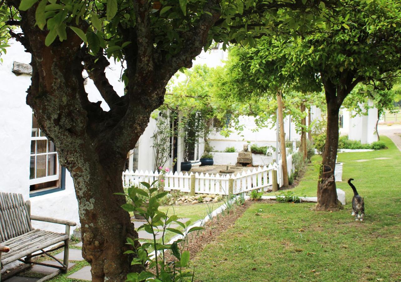 Moffid'S Place Swellendam Bagian luar foto